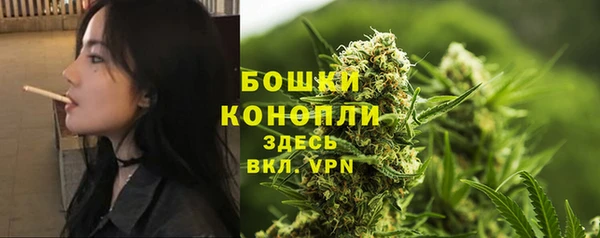 a pvp Няндома