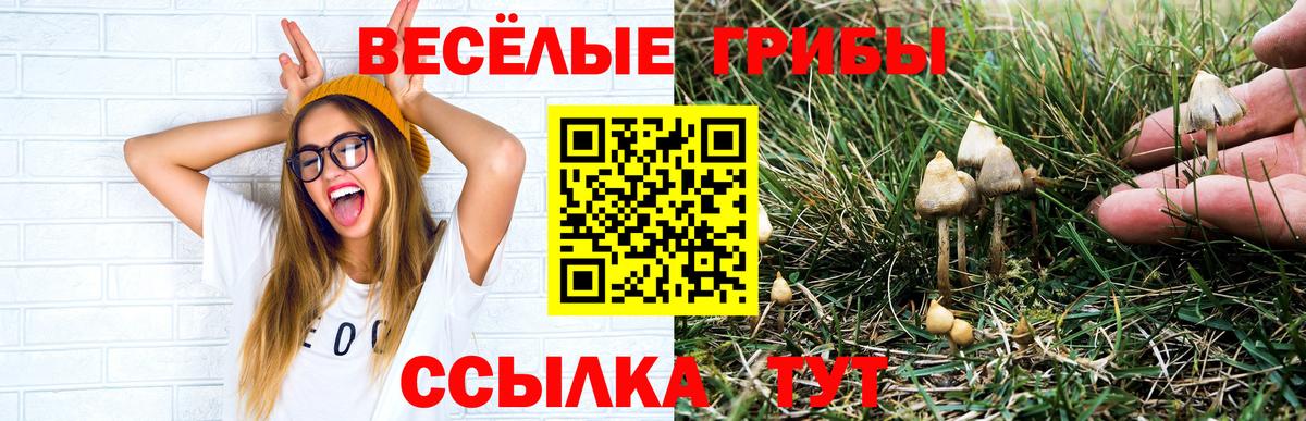Галлюциногенные грибы мухоморы  Вход с VPN  Кириши  Псилоцибиновые грибы GOLDEN TEACHER 