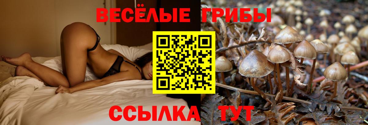 Галлюциногенные грибы ЛСД Кириши