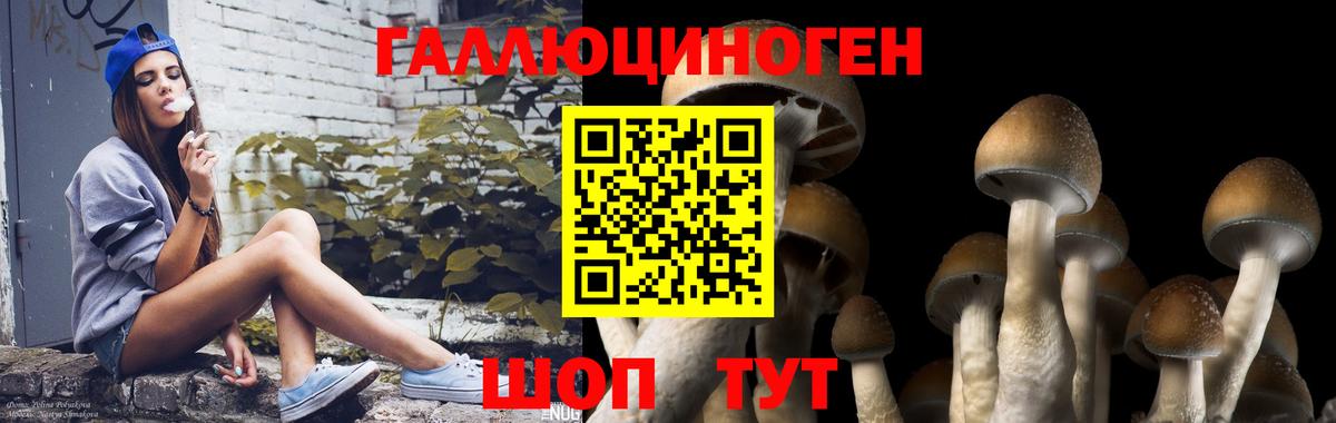 Псилоцибиновые грибы GOLDEN TEACHER  Кириши 