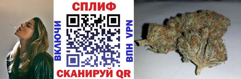 Конопля план  Кириши 